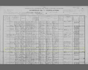 Census Record